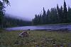 members/alehandro-1508/albums/na-sym/417-dsc01392.jpg