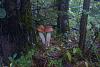 members/alehandro-1508/albums/na-sym/419-dsc01415.jpg