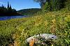 members/alehandro-1508/albums/na-sym/427-dsc01494.jpg