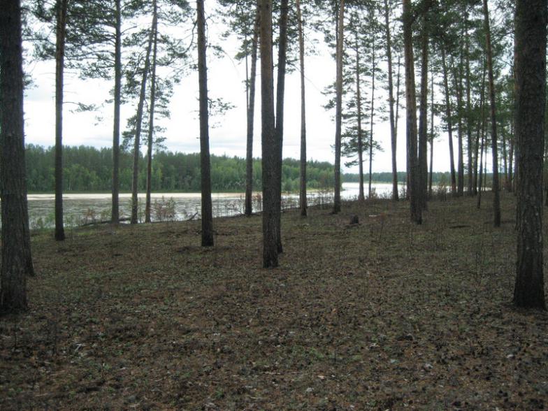 IMG 0960