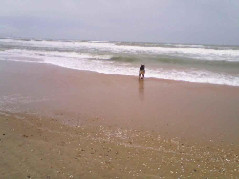 IMG 20141229 143357