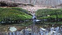 members/roha-2613/albums/predgore/1768-dsc08872.jpg