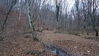 members/roha-2613/albums/predgore/1769-dsc08875.jpg