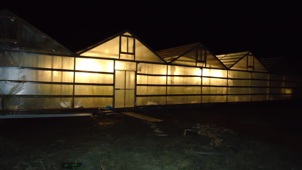 DSC08821
